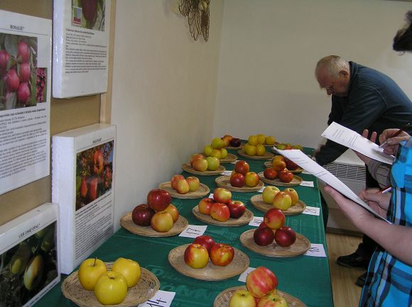 Obr: 14739.jpg