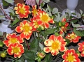 Obr: 1068.jpg