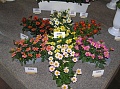 Obr: 1071.jpg