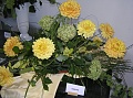 Obr: 12180.jpg
