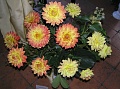 Obr: 12182.jpg