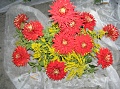 Obr: 12189.jpg