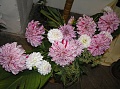 Obr: 12498.jpg