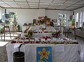 Obr: 12655.jpg