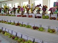 Obr: 12668.jpg