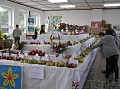 Obr: 12687.jpg