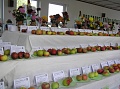 Obr: 12689.jpg