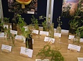 Obr: 12852.jpg
