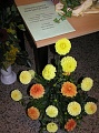 Obr: 12902.jpg