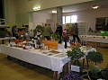 Obr: 12904.jpg