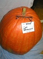 Obr: 12909.jpg