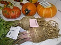 Obr: 12910.jpg