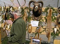 Obr: 13038.jpg