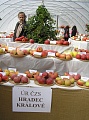 Obr: 13041.jpg