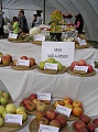 Obr: 13043.jpg