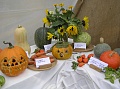 Obr: 13044.jpg