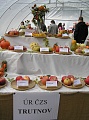 Obr: 13045.jpg