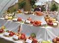 Obr: 13047.jpg