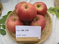 Obr: 13048.jpg