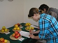 Obr: 14740.jpg