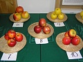 Obr: 14743.jpg