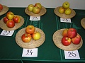 Obr: 14746.jpg