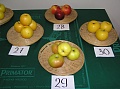Obr: 14747.jpg