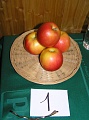 Obr: 14748.jpg