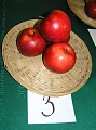 Obr: 14749.jpg