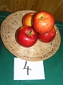 Obr: 14750.jpg