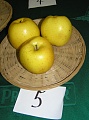 Obr: 14751.jpg