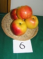 Obr: 14753.jpg
