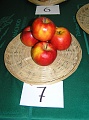 Obr: 14754.jpg