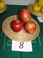 Obr: 14755.jpg