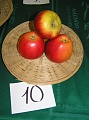 Obr: 14757.jpg