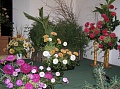 Obr: 17186.jpg
