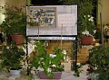 Obr: 17261.jpg