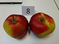 Obr: 20621.jpg