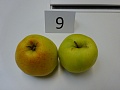Obr: 20622.jpg