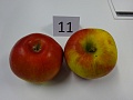 Obr: 20624.jpg