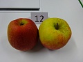 Obr: 20625.jpg