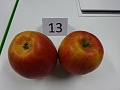 Obr: 20626.jpg