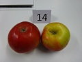 Obr: 20627.jpg