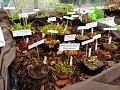 Obr: 20908.jpg