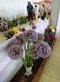 Obr: 21067.jpg