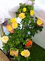 Obr: 21069.jpg