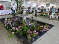 Obr: 21087.jpg