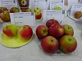 Obr: 22040.jpg