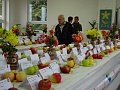 Obr: 22115.jpg