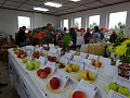 Obr: 22138.jpg